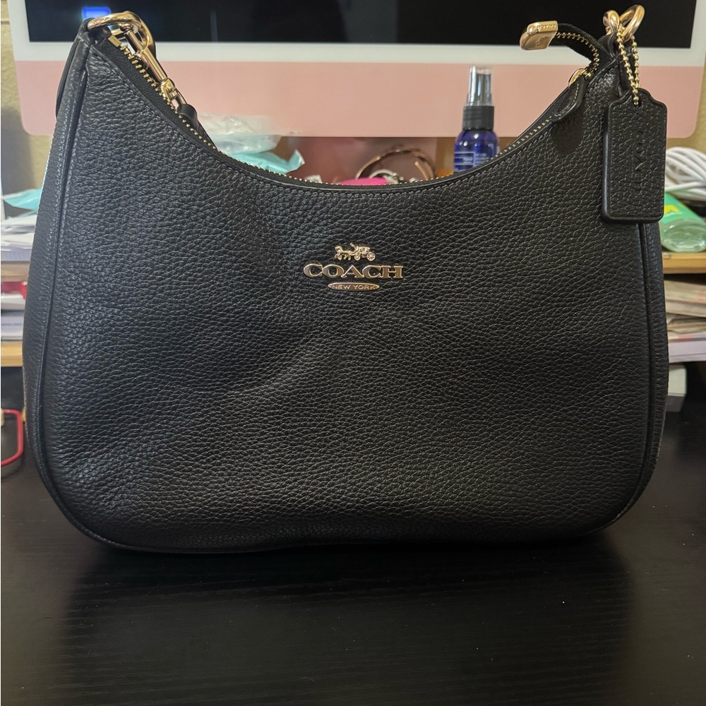 Coach Teri Hobo Shoulder Bag